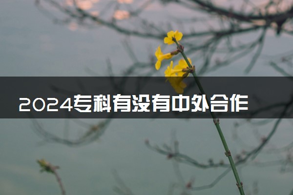 2024专科有没有中外合作办学的学校 专业好吗