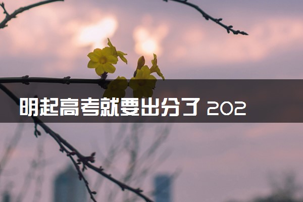 明起高考就要出分了 2024高考成绩怎么查