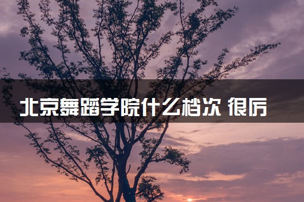 北京舞蹈学院什么档次 很厉害吗