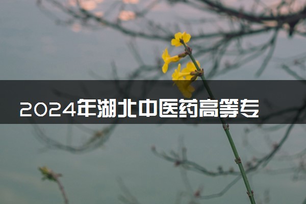 2024年湖北中医药高等专科学校各省招生计划及招生人数 都招什么专业