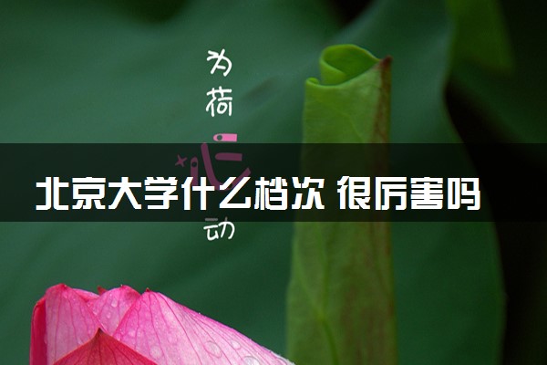 北京大学什么档次 很厉害吗
