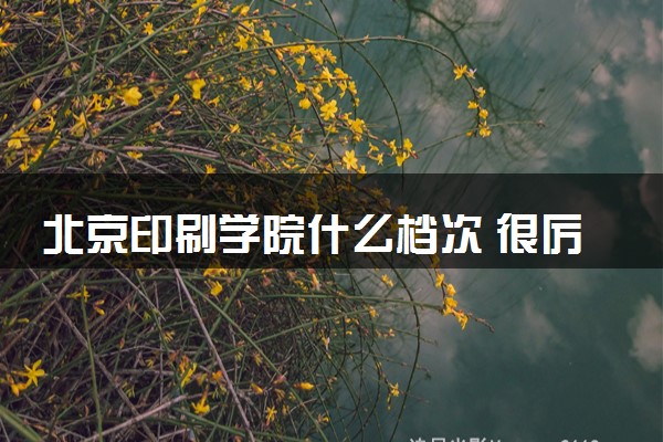 北京印刷学院什么档次 很厉害吗