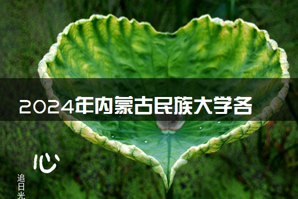 2024年内蒙古民族大学各省招生计划及招生人数 都招什么专业