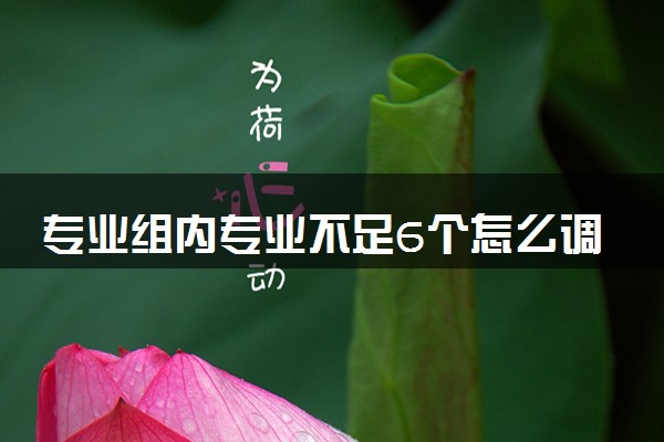 专业组内专业不足6个怎么调剂 2024专业组调剂范围