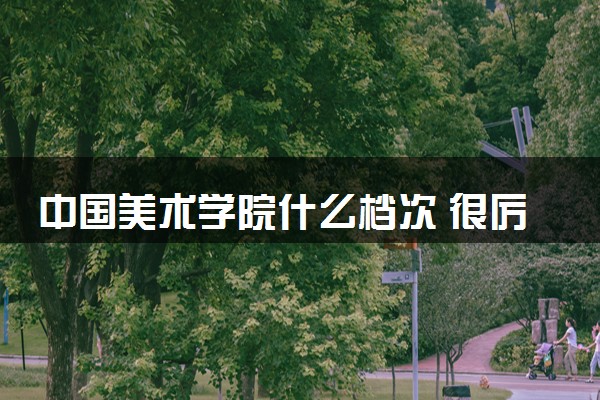 中国美术学院什么档次 很厉害吗