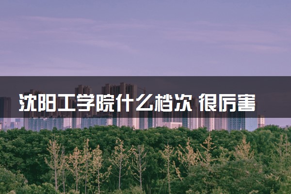 沈阳工学院什么档次 很厉害吗