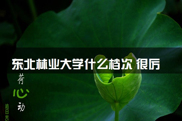 东北林业大学什么档次 很厉害吗