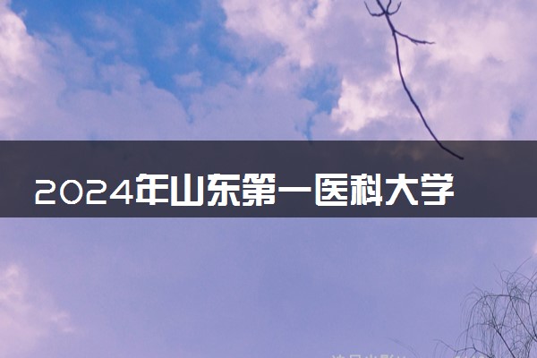 2024年山东第一医科大学各省招生计划及招生人数 都招什么专业