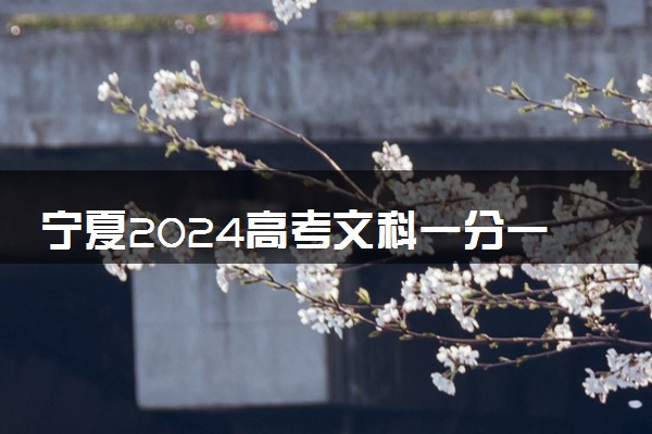 宁夏2024高考文科一分一段表汇总 位次及成绩排名出炉