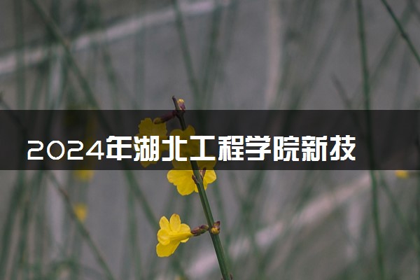 2024年湖北工程学院新技术学院各省招生计划及招生人数 都招什么专业