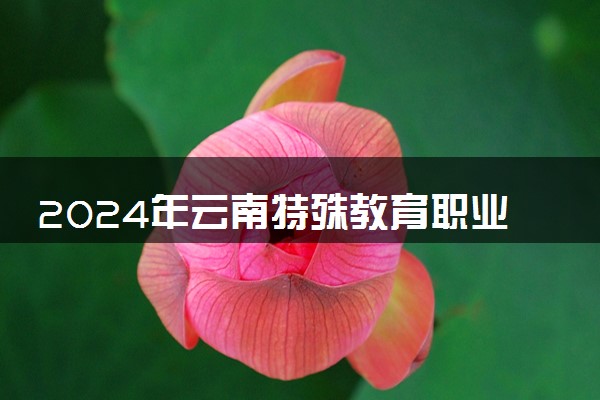 2024年云南特殊教育职业学院各省招生计划及招生人数 都招什么专业