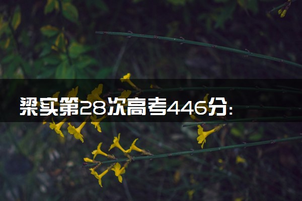 梁实第28次高考446分:未过二本线 什么情况