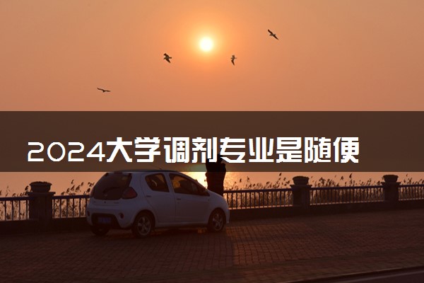 2024大学调剂专业是随便调吗 怎么调剂的