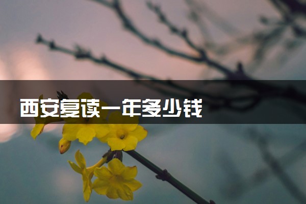 西安复读一年多少钱