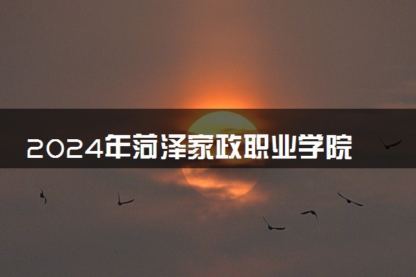 2024年菏泽家政职业学院招生计划专业及各省录取分数线位次