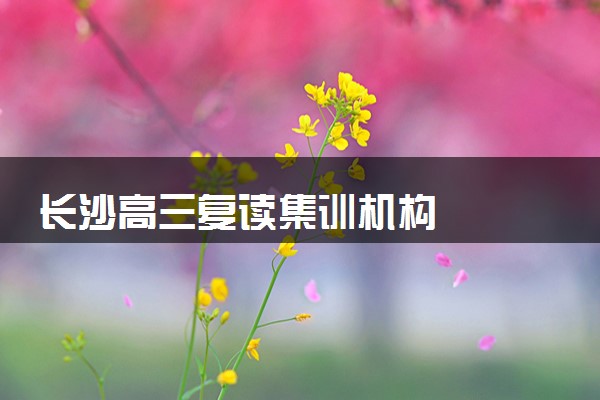 长沙高三复读集训机构