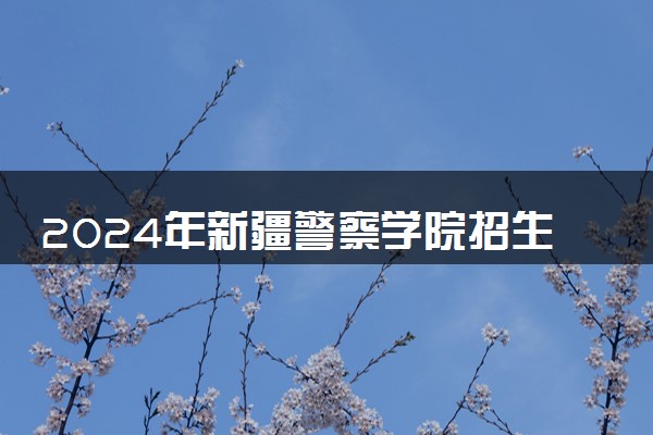 2024年新疆警察学院招生计划专业及各省录取分数线位次