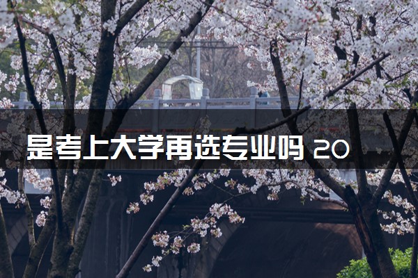 是考上大学再选专业吗 2024哪些专业值得报考