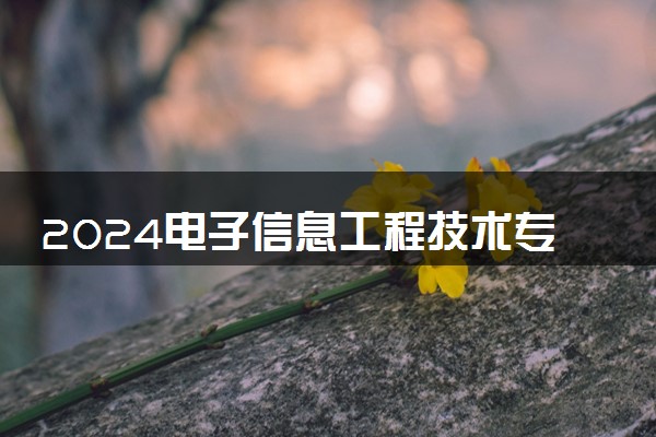 2024电子信息工程技术专业就业前景及方向