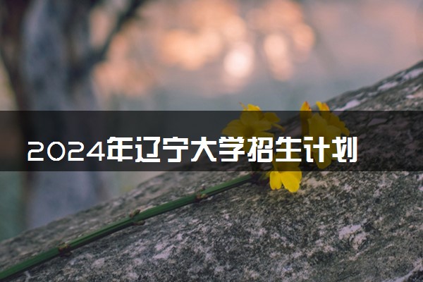 2024年辽宁大学招生计划专业及各省录取分数线位次