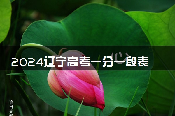 2024辽宁高考一分一段表公布 成绩排名汇总【最新完整版】