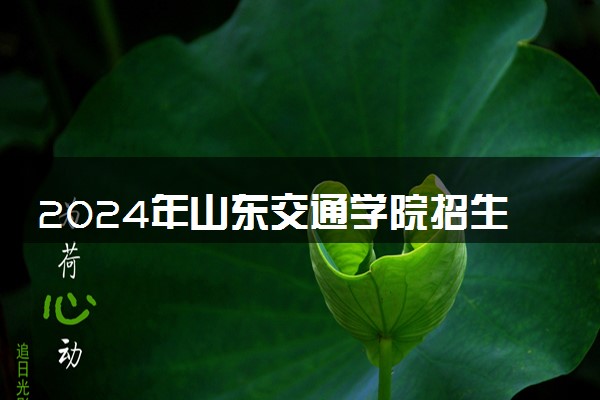 2024年山东交通学院招生计划专业及各省录取分数线位次