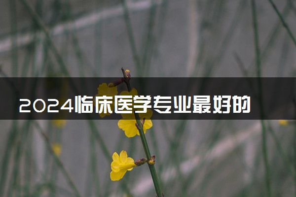 2024临床医学专业最好的二本大学 哪些高校实力强劲