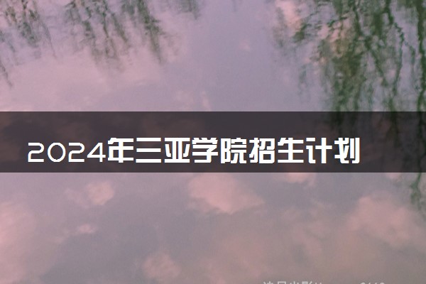 2024年三亚学院招生计划专业及各省录取分数线位次