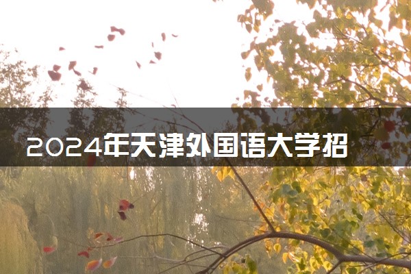 2024年天津外国语大学招生计划专业及各省录取分数线位次