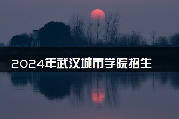 2024年武汉城市学院招生计划专业及各省录取分数线位次