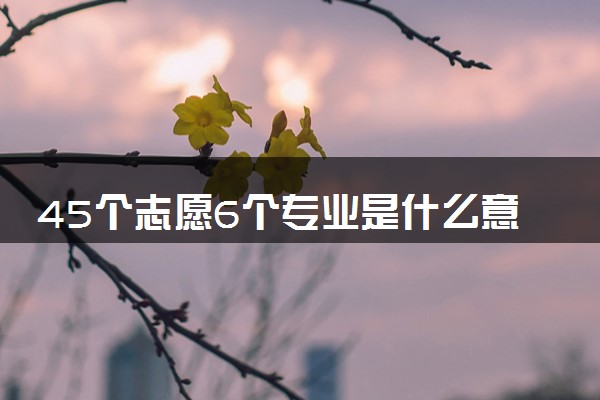45个志愿6个专业是什么意思 能选几所大学
