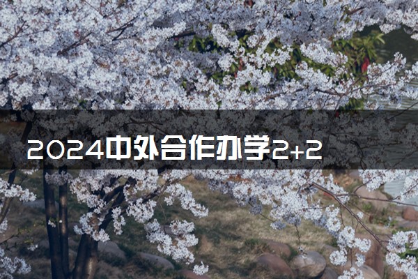 2024中外合作办学2+2留学报名条件及要求是什么