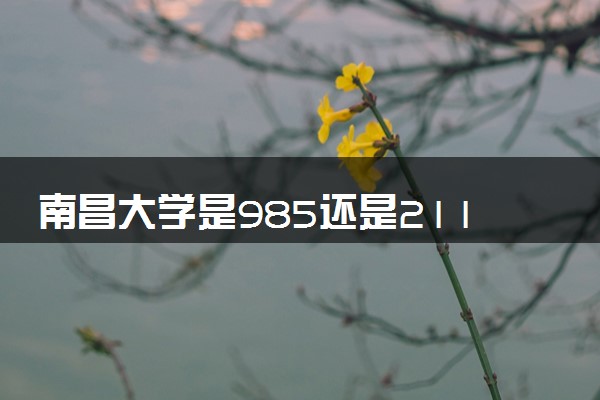 南昌大学是985还是211 录取分数线是多少