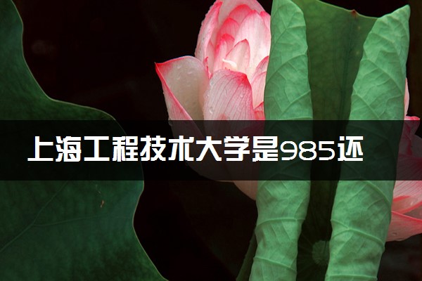 上海工程技术大学是985还是211 录取分数线是多少