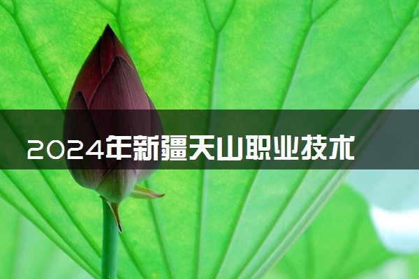 2024年新疆天山职业技术大学招生计划专业及各省录取分数线位次