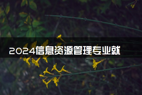 2024信息资源管理专业就业前景及方向 毕业后能干什么