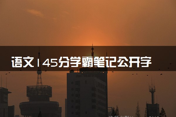 语文145分学霸笔记公开字迹清秀 具体内容