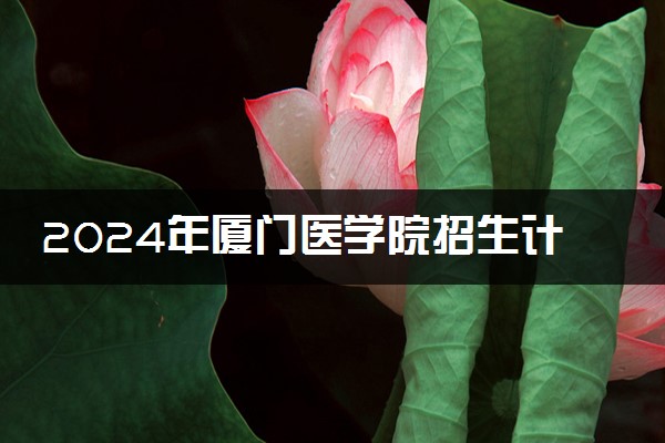 2024年厦门医学院招生计划专业及各省录取分数线位次