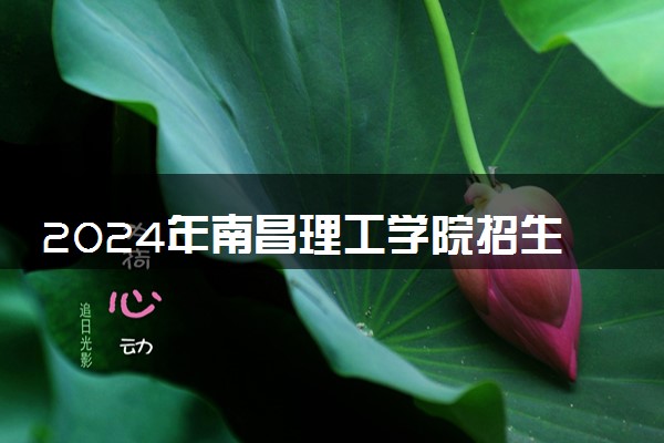 2024年南昌理工学院招生计划专业及各省录取分数线位次