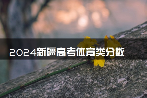 2024新疆高考体育类分数线最新公布 分数线是多少