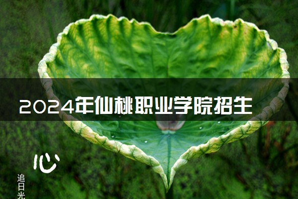 2024年仙桃职业学院招生计划专业及各省录取分数线位次