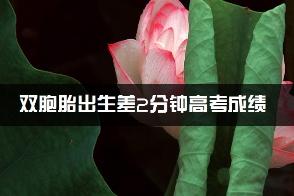 双胞胎出生差2分钟高考成绩也差2分 一文一理多次分数相近