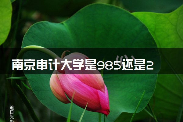 南京审计大学是985还是211 录取分数线是多少