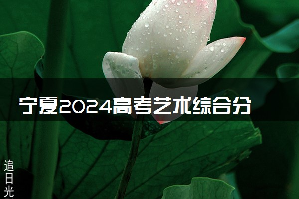 宁夏2024高考艺术综合分一分一段表【美术与设计类】