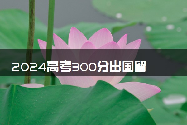 2024高考300分出国留学好还是上专科好呢 去哪里好