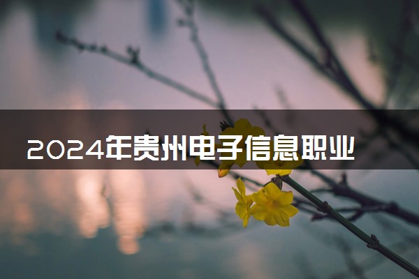 2024年贵州电子信息职业技术学院招生计划专业及各省录取分数线位次