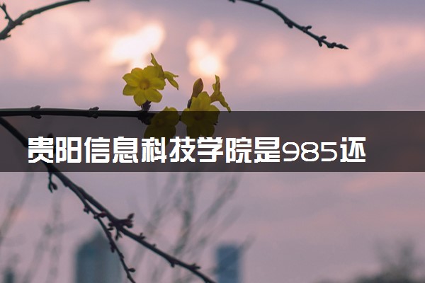 贵阳信息科技学院是985还是211 录取分数线是多少