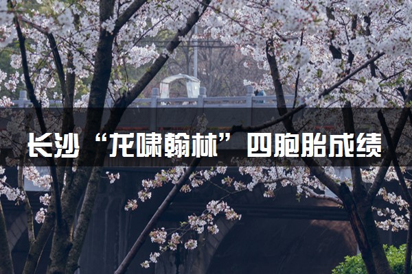长沙“龙啸翰林”四胞胎成绩出炉 未来还要继续努力