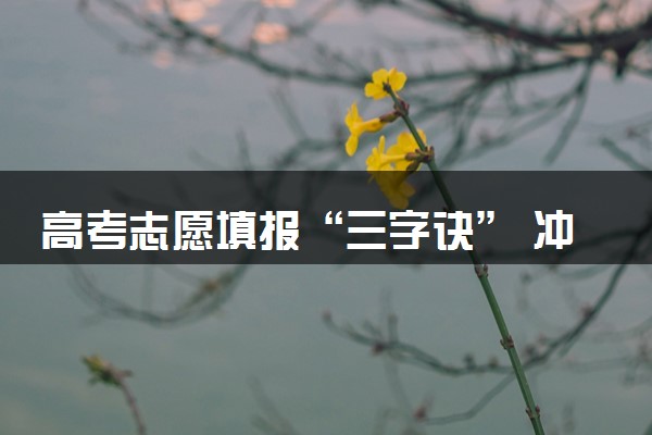 高考志愿填报“三字诀” 冲稳保填报策略