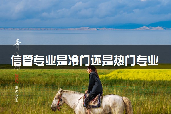 信管专业是冷门还是热门专业 2024有前途吗